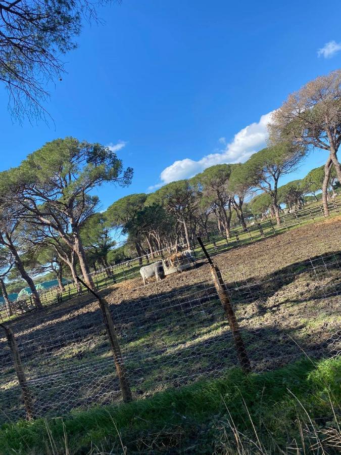 Beautiful Apartment With Exclusive Garden And Terrace Monteverdi Marittimo Eksteriør bilde