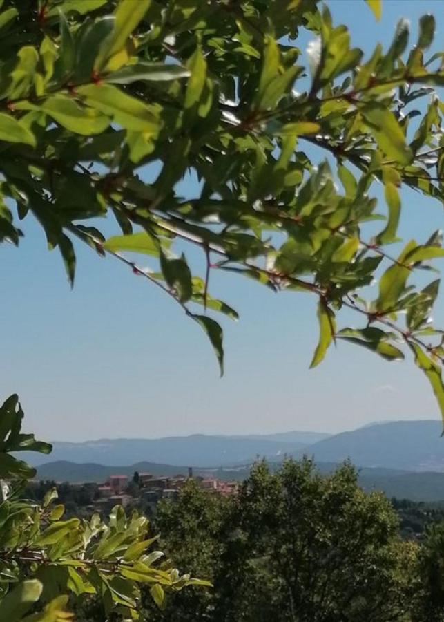 Beautiful Apartment With Exclusive Garden And Terrace Monteverdi Marittimo Eksteriør bilde